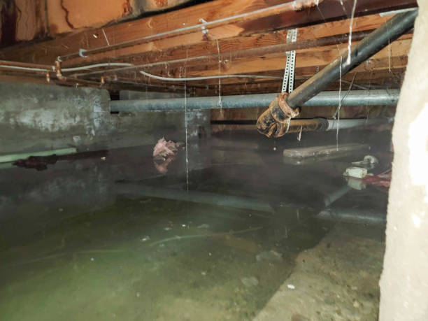 Best Fire Damage Restoration  in Lake Tansi, TN