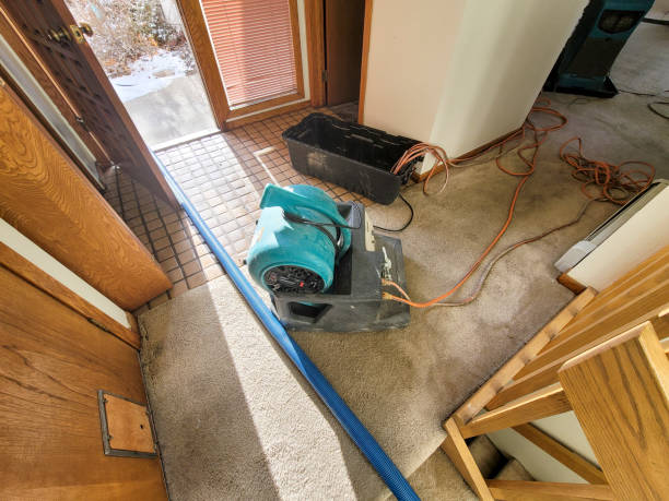 Best Commercial water damage restoration  in Lake Tansi, TN