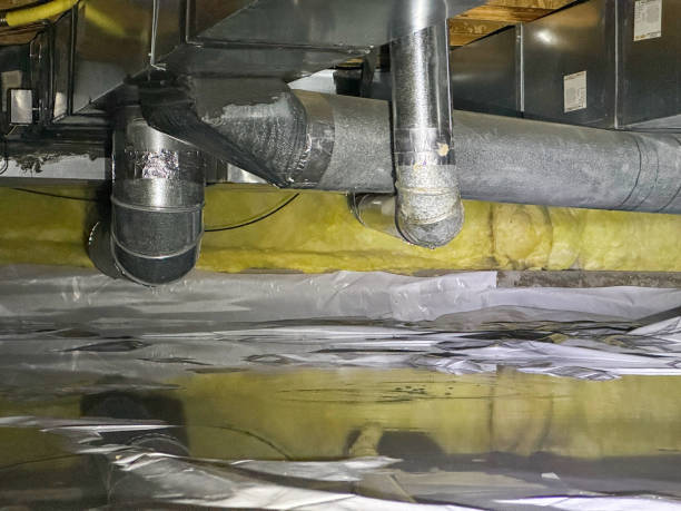 Best Flood restoration services  in Lake Tansi, TN