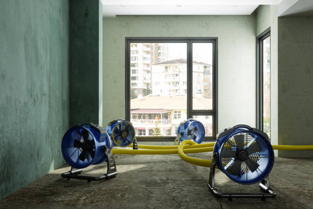 Best Water damage restoration near me  in Lake Tansi, TN
